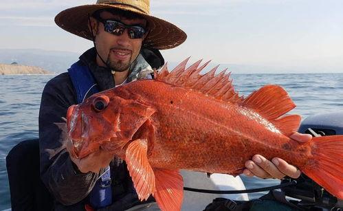 亚洲赶海最新视频