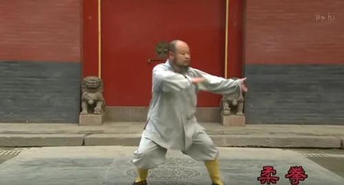 日韩网友评中国武术视频,揭秘中国武术的魅力与传承